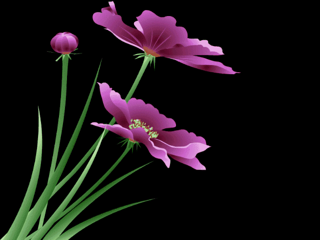 Good Morning Flower GIF Images