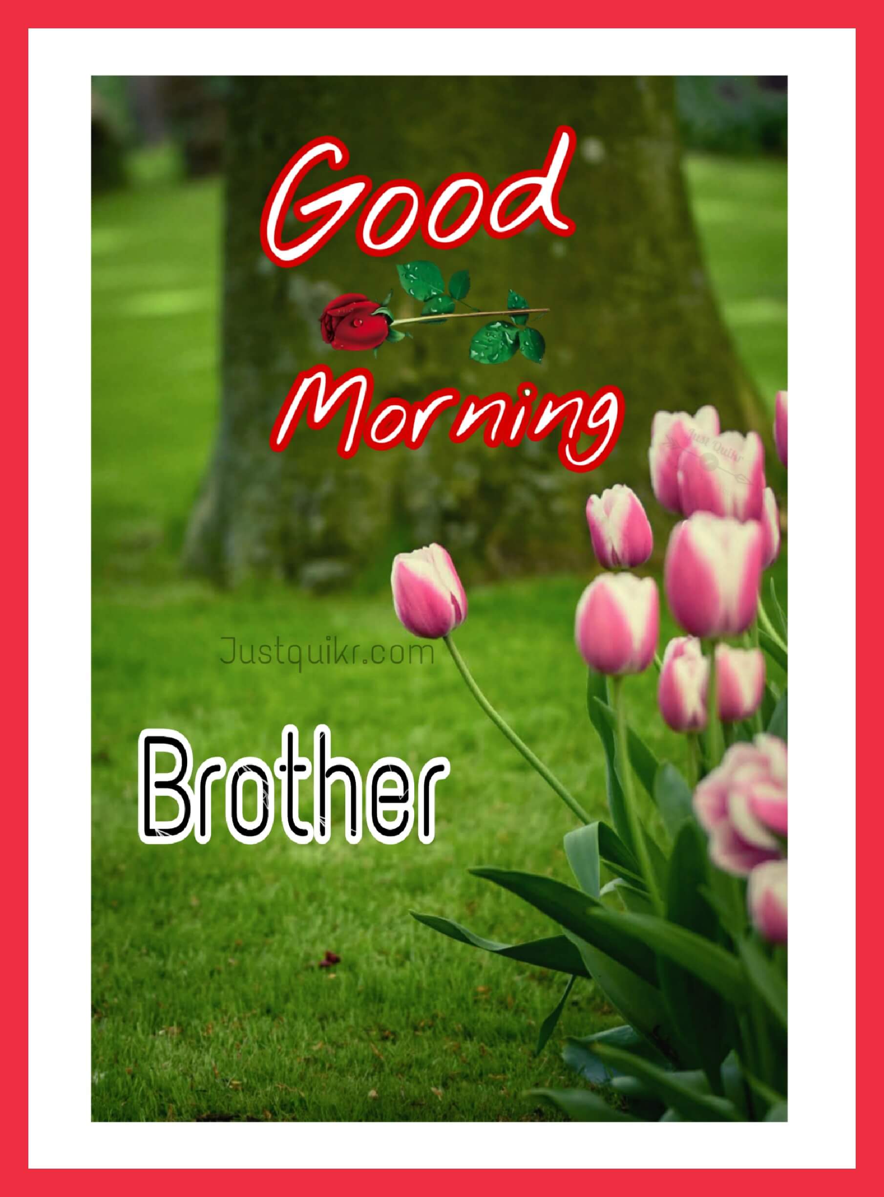 Good Morning Brother Pics Images
