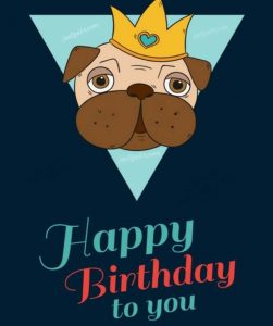 Happy Birthday Funny Wishes Memes and Images for Male Friend