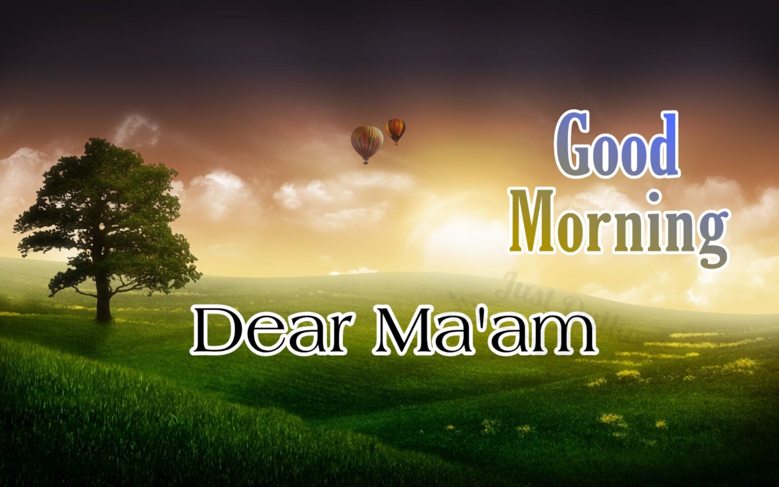 what is the meaning good morning mam