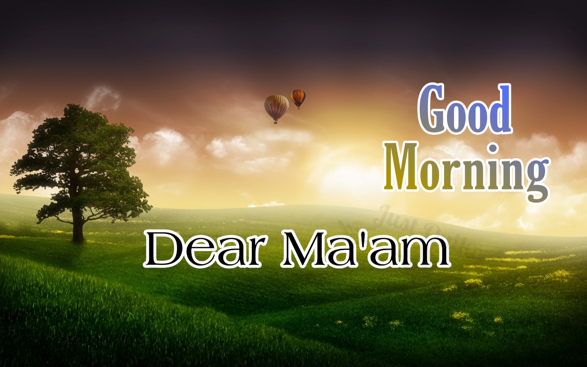 Good Morning Mam Messages Wishes Shayari SMS HD Pics Images Photo Wallpaper for Whatsapp Instagram And  Facebook