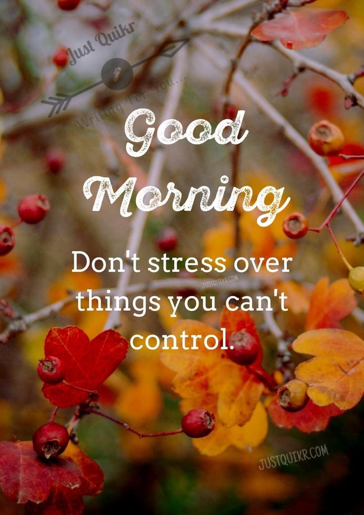Good Morning Thoughts Photo Wallpaper Download