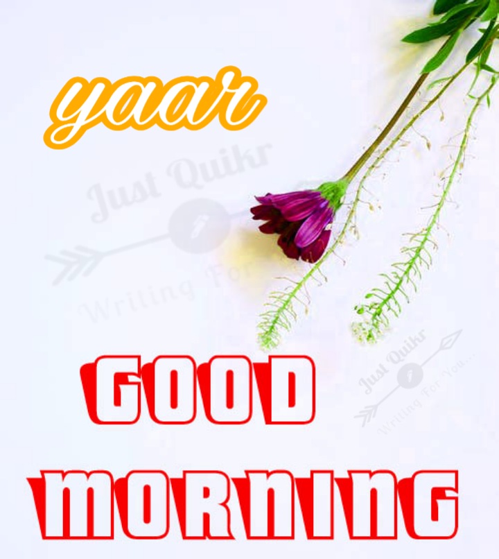 Good Morning Yaar Messages Wishes Shayari SMS HD Pics Images Photo Wallpaper for Whatsapp Instagram And  Facebook