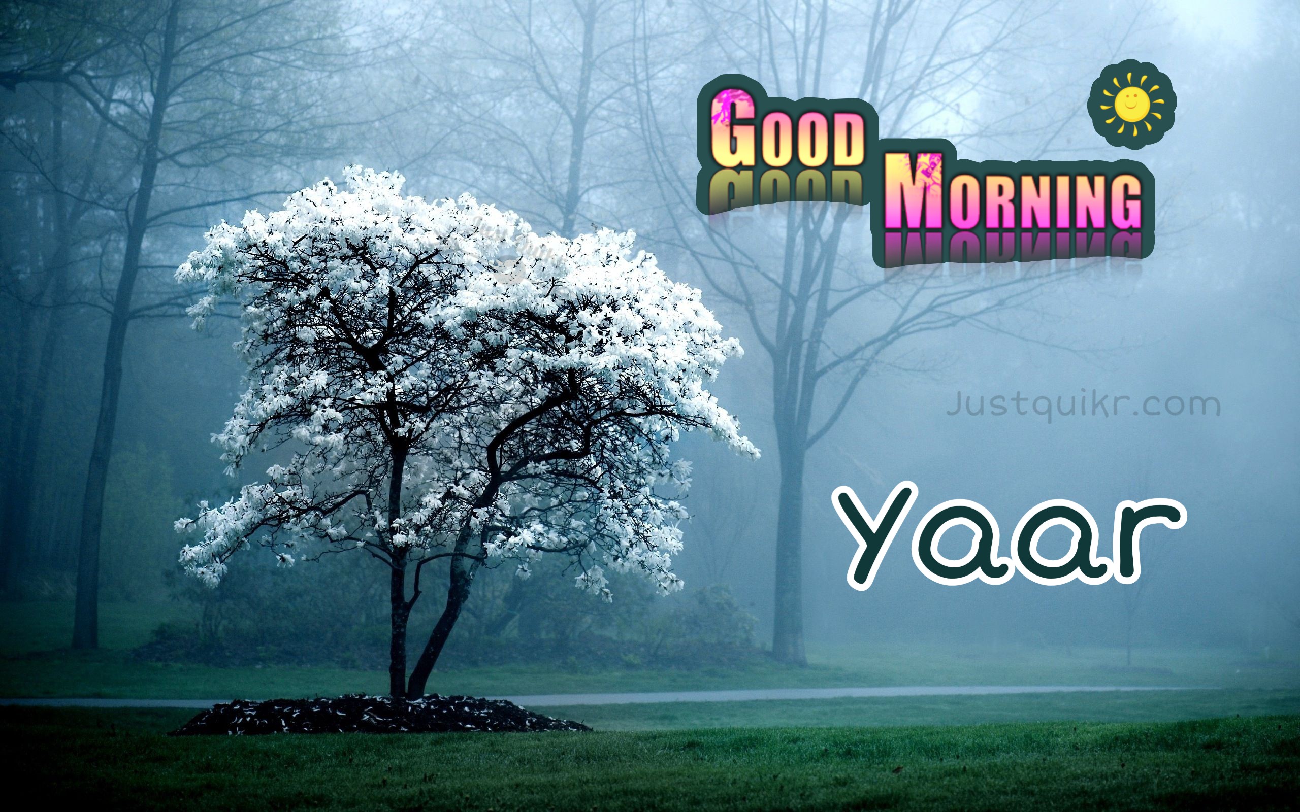 Good Morning Yaar  Pics Images