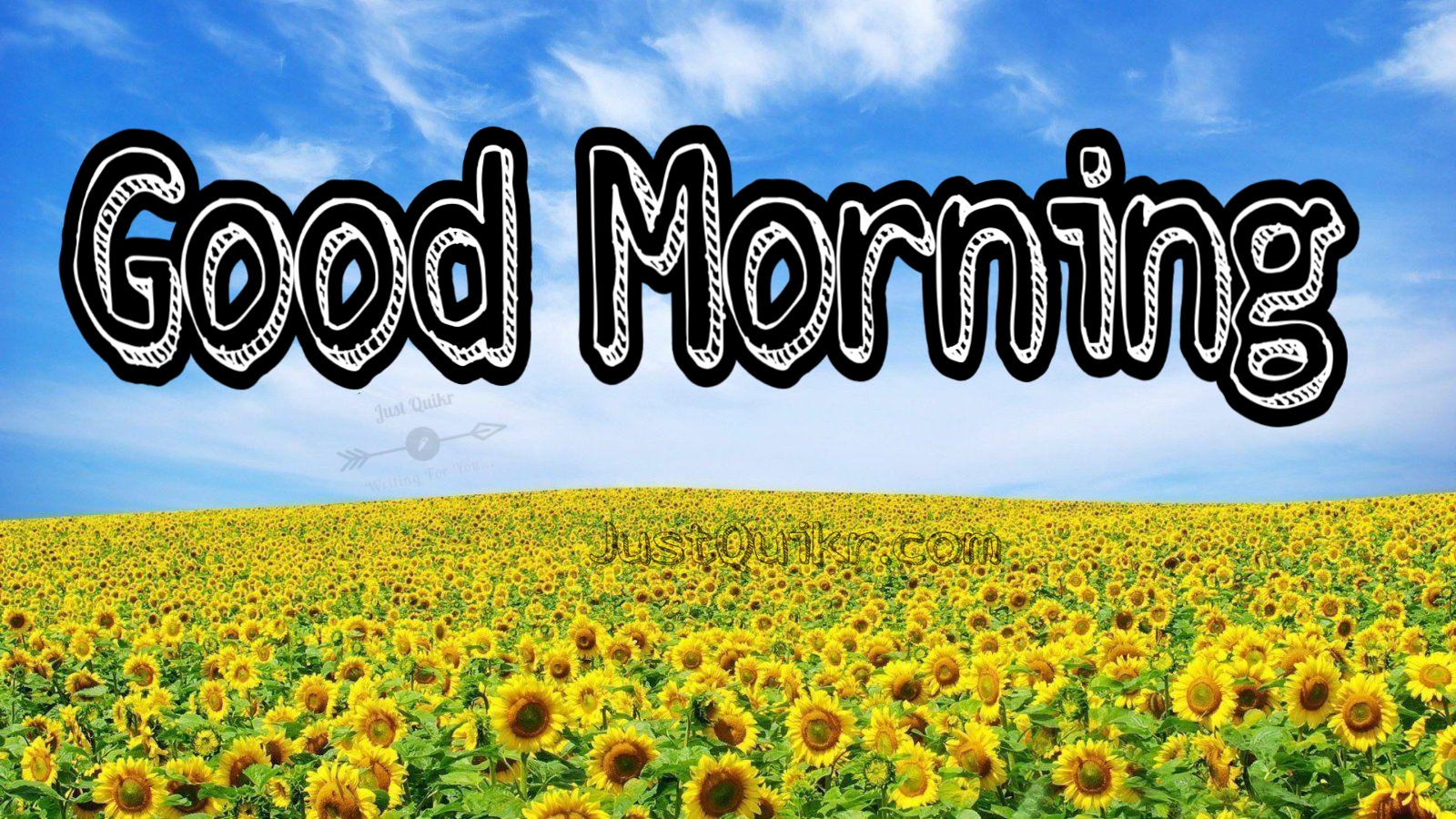 Good Morning Yellow Flowers Messages Wishes Shayari SMS HD Pics Images Photo Wallpaper for Whatsapp Instagram And  Facebook