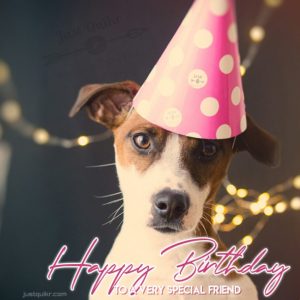 Happy Birthday Funny Wishes Memes and Images for New Friend