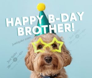 Happy Birthday Funny Wishes Memes & Images for Small Brother