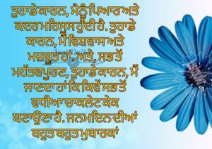 Creative Happy Birthday Wishes Thoughts Quotes Lines Messages For Aunty in Punjabi