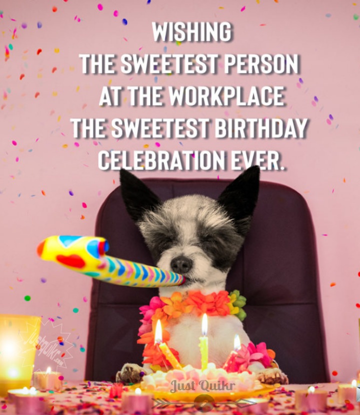 Happy Birthday Funny Wishes Memes and Images for Ex Colleague 