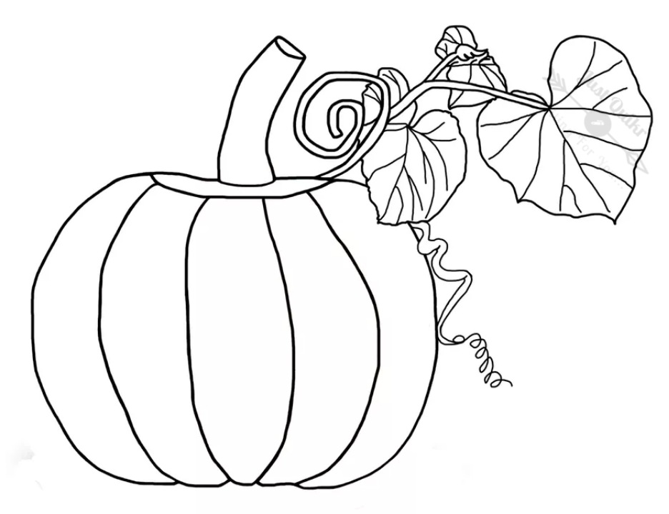Halloween Day Coloring Pages Drawings Black and White