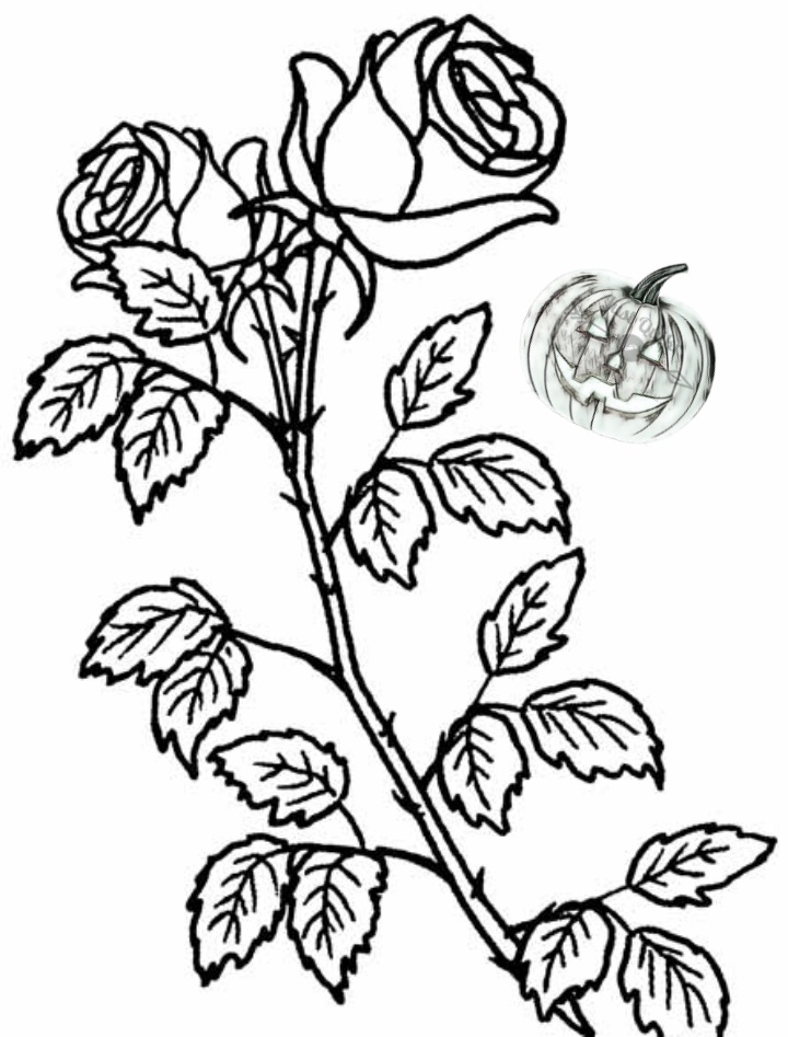 Halloween Day Coloring Pages Drawings for Roses