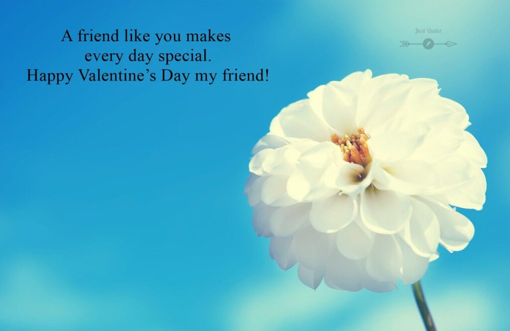 Valentine Day Flower Friendship Quotes