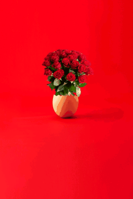 Good Morning Red Rose GIF Images