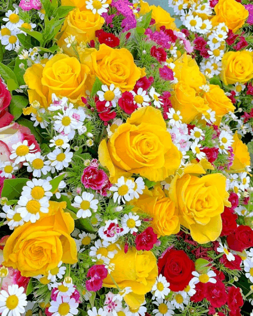 Good Morning Yellow Rose GIF Images