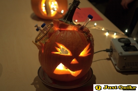 Pumpkin carving ideas 2022 with Lab Routine