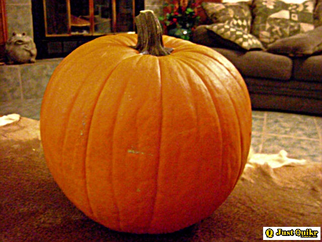 Mr Perfect pumpkin carving ideas
